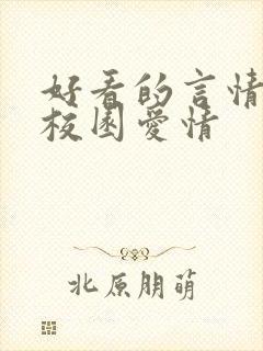 好看的言情小说校园爱情封面