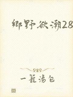 乡野欲潮28章
