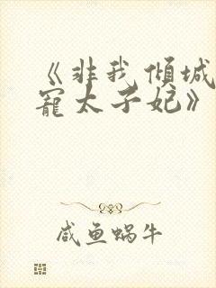 《非我倾城:独宠太子妃》