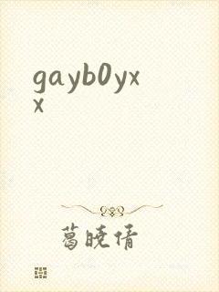 gayb0yxx封面