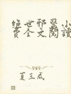 绝世邪医小说免费全文阅读封面