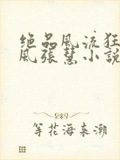 绝品风流狂医林风张慧小说的免费阅读