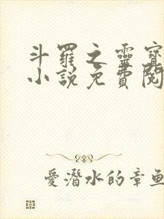 斗罗之灵宝斗罗小说免费阅读封面