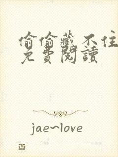 偷偷藏不住小说免费阅读