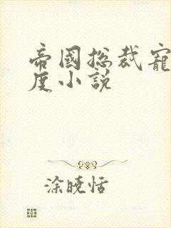 帝国总裁宠妻无度小说