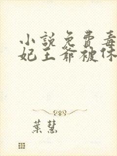 小说免费毒手医妃王爷被休夫了