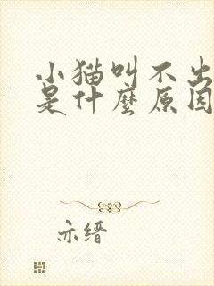 小猫叫不出声音是什么原因