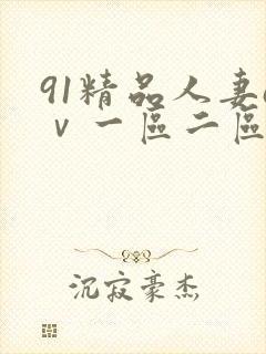 91精品人妻aⅴ一区二区