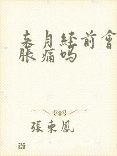 来月经前会乳房胀痛吗