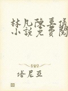 林凡陈嘉仪官场小说免费阅读封面