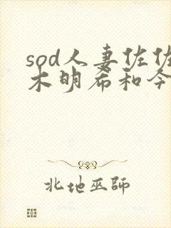 sod人妻佐佐木明希和今井真由美封面