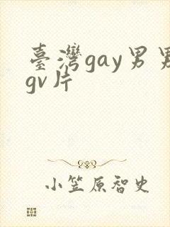 台湾gay男男gv片