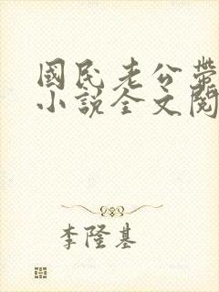 国民老公带回家小说全文阅读免费