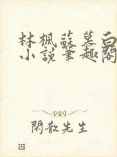 林枫苏慕白穿越小说笔趣阁