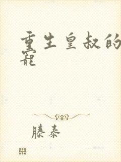 重生皇叔的掌心宠