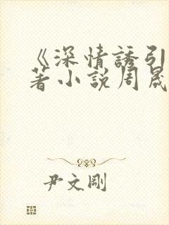 《深情诱引》原著小说周晟安结局是封面