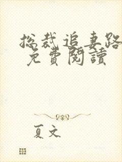 总裁追妻路漫漫 免费阅读