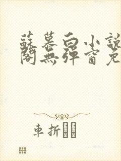 苏慕白小说笔趣阁无弹窗免费阅读