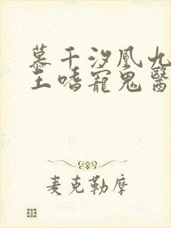 慕千汐凰九夜邪王嗜宠鬼医狂妃无弹窗