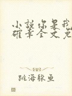 小说你是我的小确幸全文免费阅读