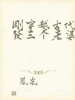 刚穿越古代官府发三个老婆的小说