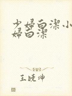 少妇白洁小说少妇白洁