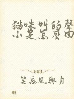 猫咪叫的声音很小是怎么回事