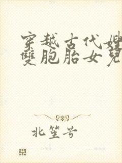 穿越古代嫂嫂送双胞胎女儿的小说免