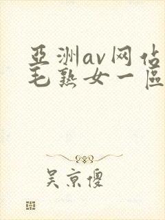亚洲av网站浓毛熟女一区