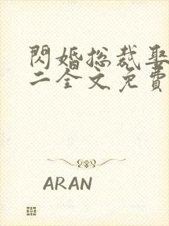 闪婚总裁娶一送二全文免费阅读封面