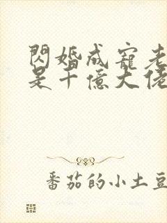 闪婚成宠老公竟是千亿大佬免费阅读