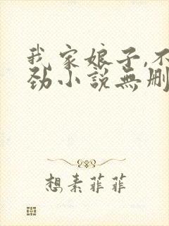 我家娘子,不对劲小说无删减封面