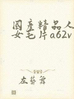 国产精品人妻熟女毛片a62v久久