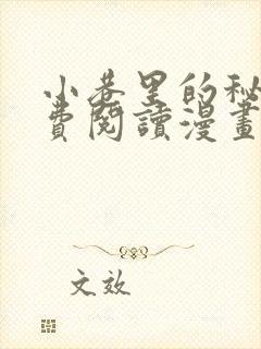 小巷里的秘密免费阅读漫画完整版