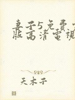 妻子5免费完整版高清电视剧封面