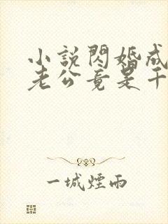 小说闪婚成宠,老公竟是千亿大佬封面