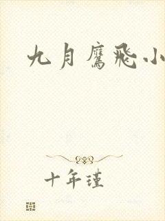 九月鹰飞小说