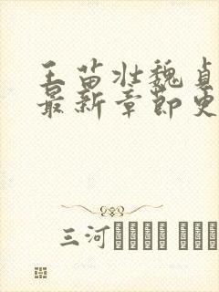 王苗壮魏贞小说最新章节更新时间