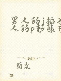 男人的j插入女人的p动态视频