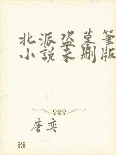 北派盗墓笔记 小说未删版全文