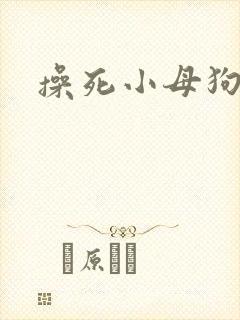 操死小母狗