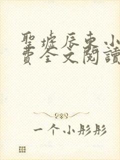 圣墟辰东小说免费全文阅读