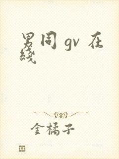 男同 gv 在线封面