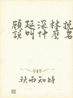 顾延深林挽音小说叫什么名字