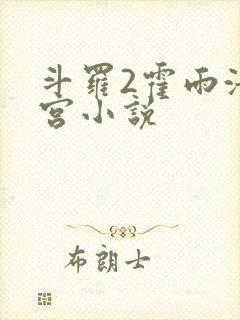 斗罗2霍雨浩后宫小说