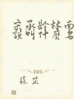 宋承龄林南薇小说叫什么名字封面