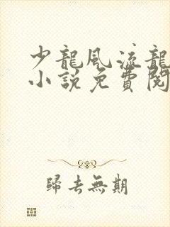 少龙风流龙剑飞小说免费阅读封面
