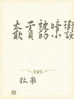 太子被暗卫轮流欺负的小说