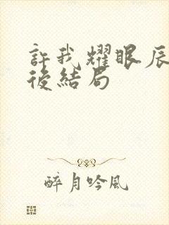 许我耀眼辰辰最后结局