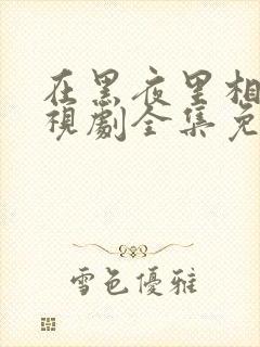 在黑夜里相拥电视剧全集免费观看